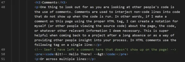 An image showing a comment in the source code of this page.